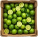 Limonki ekologiczne limetki (karton ok. 4 kg) (EKO)