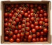 Pomidory cherry na gałązce ekologiczne (karton ok. 3 kg) (EKO)